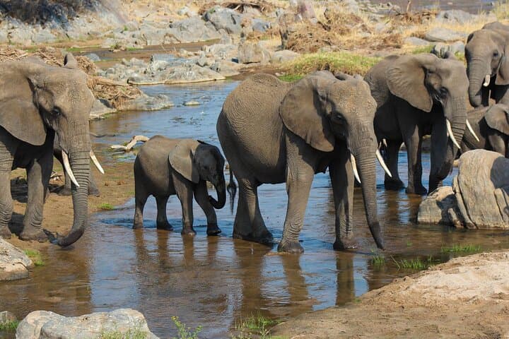 3-Day Camping Safari: Tarangire, Lake Manyara & Ngorongoro Crater photo 1