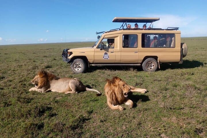 3-Day Camping Safari: Tarangire, Lake Manyara & Ngorongoro Crater photo 2