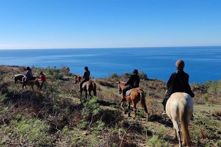 Taurus Mountains Horseback Ride from Alanya — Coastal Trails & Castle Views photo 6