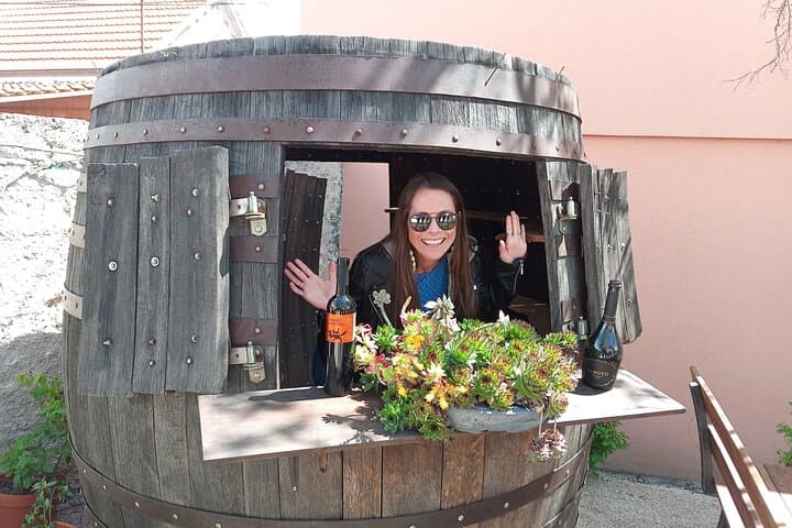 Krka Waterfalls Day Trip: Skradinski Buk & Wine Tasting from Split photo 4