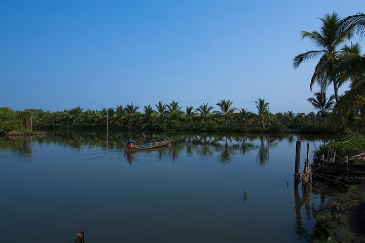 Alleppey Backwater Day Cruise & Houseboat Lunch from Kochi photo 2