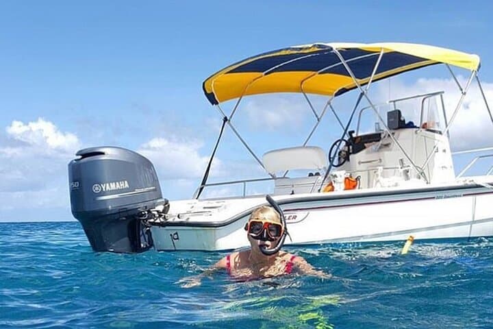 Private Provo Cays Charter — Full-Day Snorkel, Iguanas & Fort George Cay Lunch
