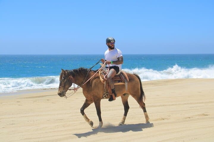Cabo San Lucas Horseback Riding: Beach & Desert Adventure with Tequila Tasting photo 2