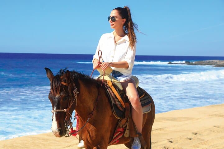 Cabo San Lucas Horseback Riding: Beach & Desert Adventure with Tequila Tasting