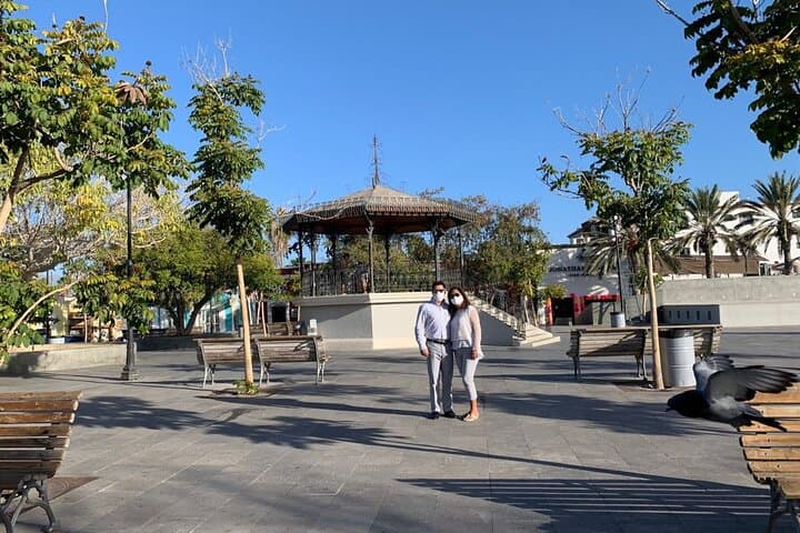 San José del Cabo Art District and Baja Brewing Half‑Day Tour photo 3