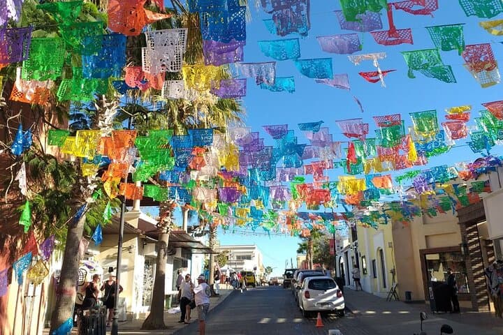 San José del Cabo Art District and Baja Brewing Half‑Day Tour photo 5