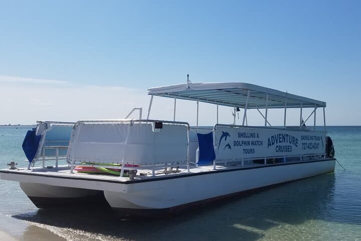 St. Pete Dolphin, Shelling & Snorkeling Private Charter — Shell Key Adventure