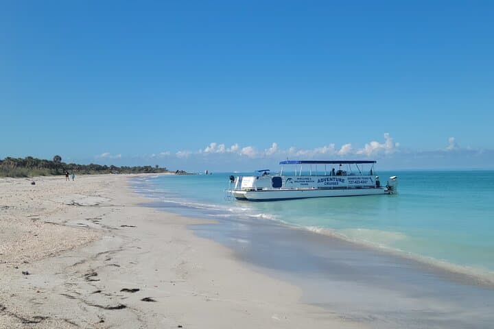 St. Pete Dolphin, Shelling & Snorkeling Private Charter — Shell Key Adventure photo 2