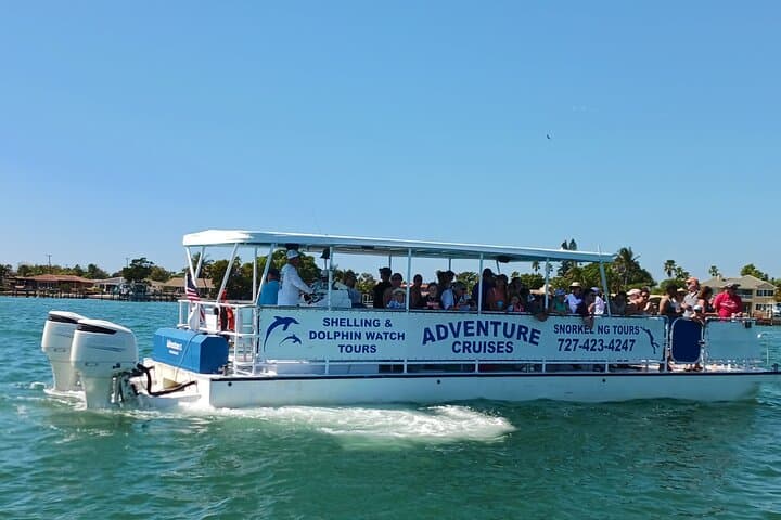 St. Pete Dolphin, Shelling & Snorkeling Private Charter — Shell Key Adventure photo 4