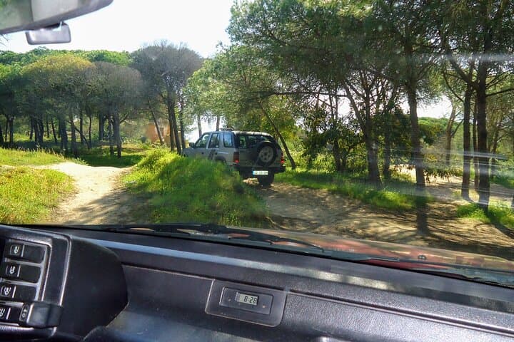 Coast to Foia: Private Algarve Tour with Typical Lunch and Monchique Views