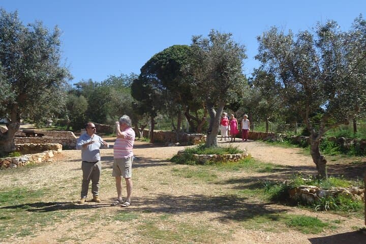 Coast to Foia: Private Algarve Tour with Typical Lunch and Monchique Views photo 3