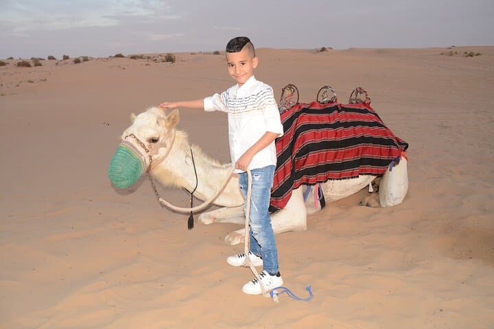 Dubai Desert Safari: Camel Ride, Dune Bashing & BBQ Under the Stars photo 2