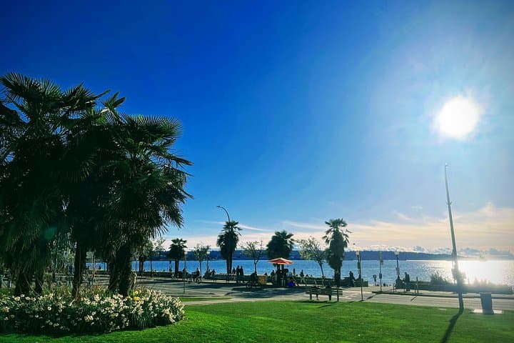 Private Vancouver Highlights Tour: Gastown, Stanley Park & Granville Island photo 4