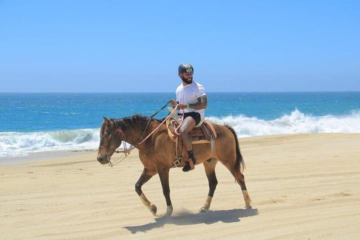 Cabo Combo Adventure: Camel Safari, Horseback & ATV on the Baja Coast photo 5