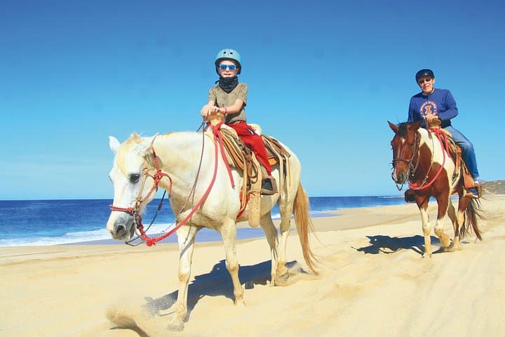 Cabo Combo Adventure: Camel Safari, Horseback & ATV on the Baja Coast photo 6