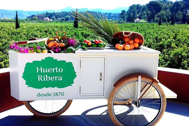Huerto Ribera Orange Grove Tour: Hands-On Picking & Valencian Tasting near Valencia photo 2