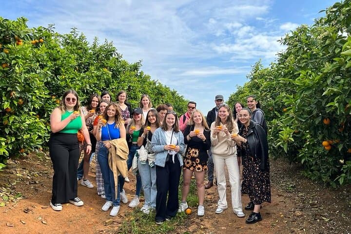 Huerto Ribera Orange Grove Tour: Hands-On Picking & Valencian Tasting near Valencia photo 4