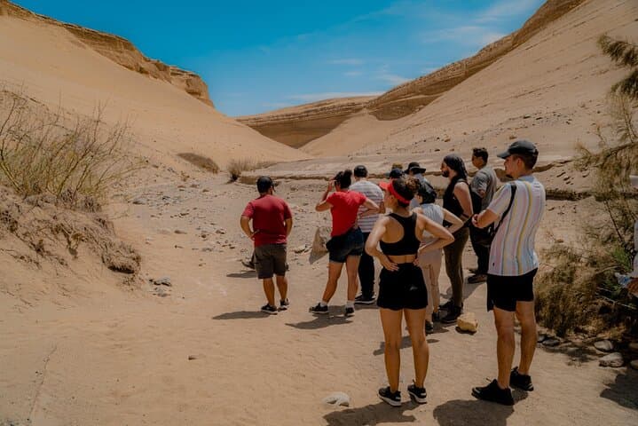 Cañón de los Perdidos Day Trip from Ica or Huacachina — Ocucaje Desert Canyon Hike photo 5