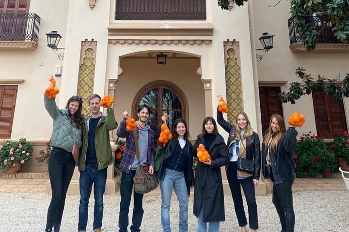 Huerto Ribera Orange Grove Tour: Hands-On Picking & Valencian Tasting near Valencia photo 5