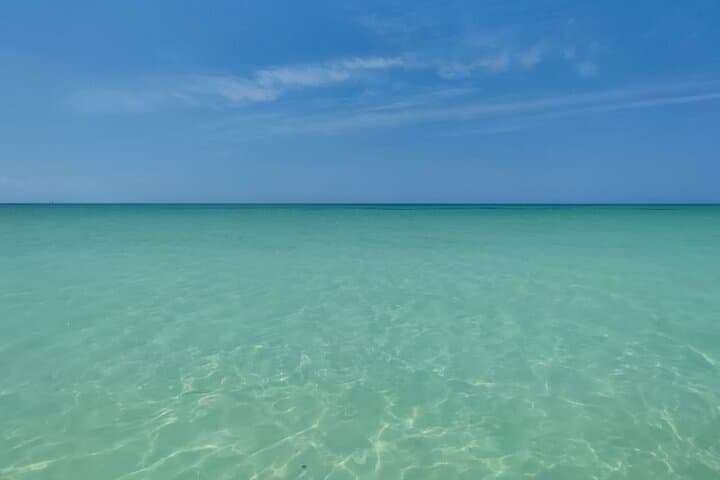 Holbox Exclusive Full-Day Tour: Isla Pasion, Punta Mosquito & Sandbanks photo 3