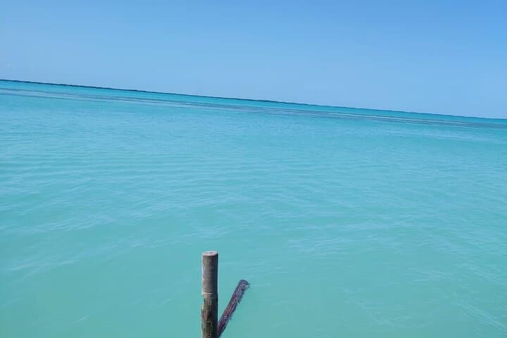 Holbox Exclusive Full-Day Tour: Isla Pasion, Punta Mosquito & Sandbanks photo 6