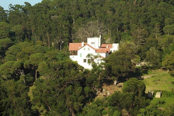 Luxury Tangier Private Day Tour from Estepona — Full-Day VIP Sightseeing & Ferry photo 2