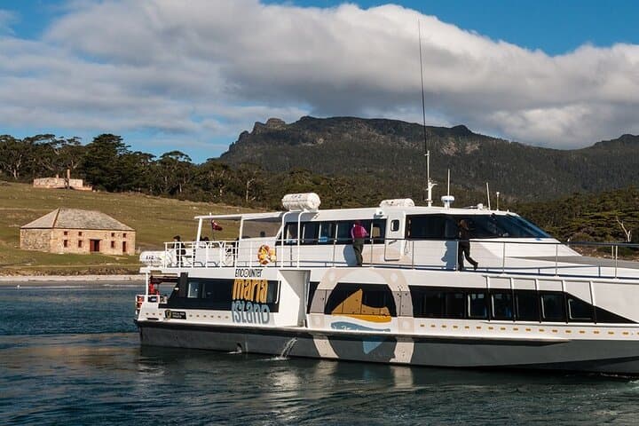 Maria Island Day Trip from Hobart: Painted Cliffs, Fossil Cliffs & Wildlife photo 3