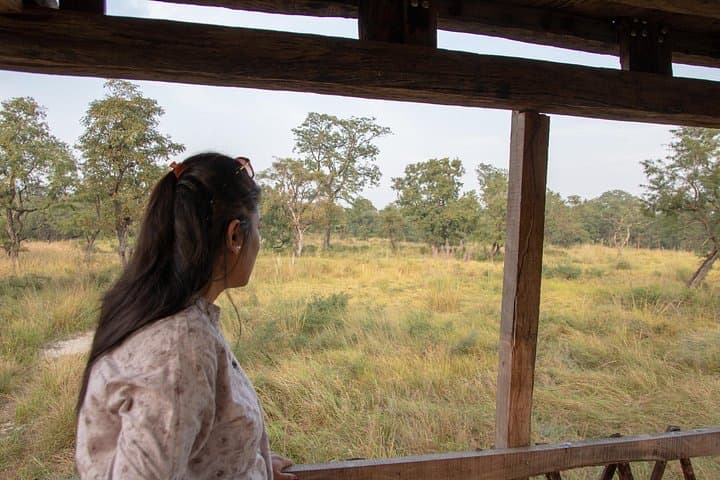 Overnight in a Machhan: Tree-House Wildlife Watch at Bardiya National Park photo 2