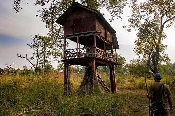 Overnight in a Machhan: Tree-House Wildlife Watch at Bardiya National Park photo 1