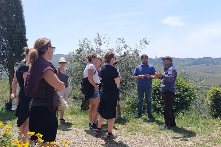 Chianti Classico Private Hike and Wine Tour from Greve — Day Hike with Tastings photo 3