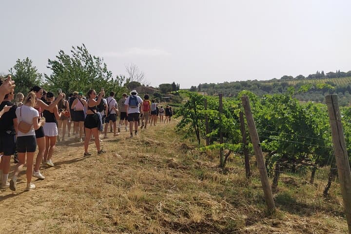 Chianti Classico Private Hike and Wine Tour from Greve — Day Hike with Tastings photo 5
