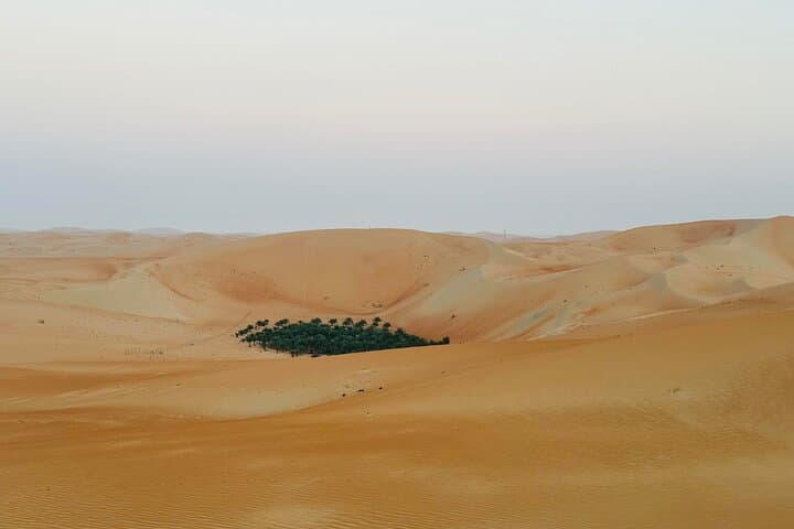 Overnight Liwa Desert Safari: Private Camping, Dune Bashing & Sunset BBQ photo 6