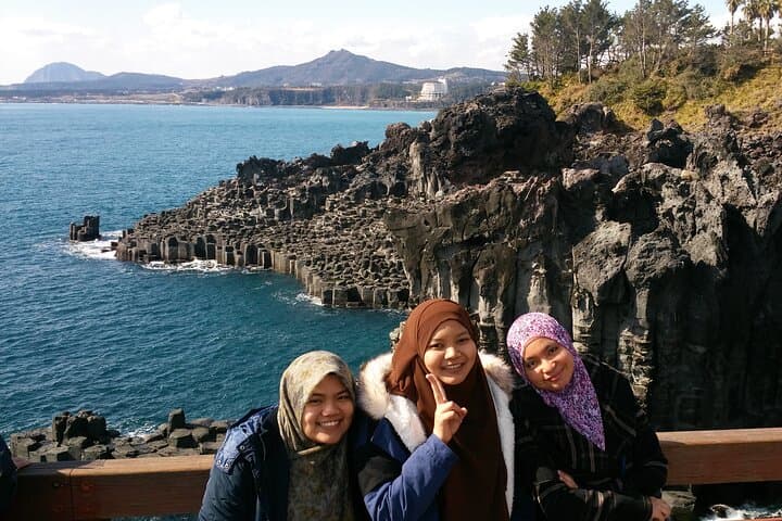 South Jeju Private Day Tour — Seogwipo Waterfalls, Coastlines & Tea Fields photo 2