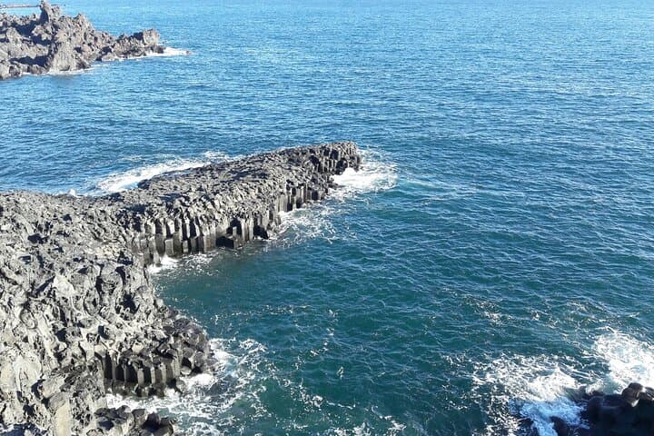 South Jeju Private Day Tour — Seogwipo Waterfalls, Coastlines & Tea Fields photo 5