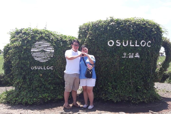 South Jeju Private Day Tour — Seogwipo Waterfalls, Coastlines & Tea Fields photo 6
