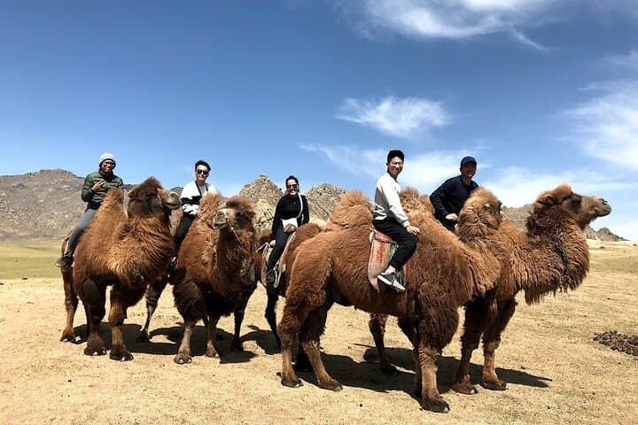 Ultimate 10-Day Private Mongolia Tour: Gobi Dunes, Kharkhorin & Przewalski Horses photo 4