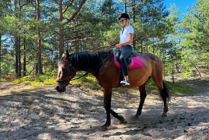 Private Beach Horseback Ride from Riga — Baltic Sea Dunes & Pine Trails photo 5