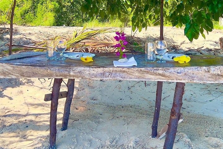 Eco-Friendly Dolphin Encounter and Benitier Island Barbecue from Le Morne photo 5
