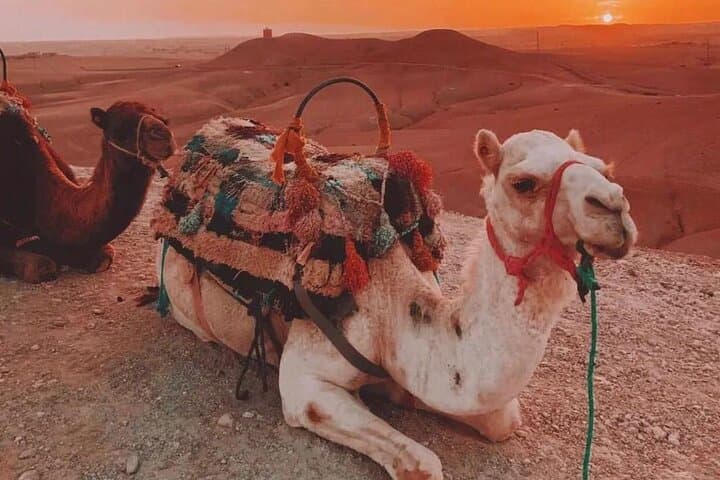Agafay Desert Evening Trip from Marrakech: Camel Ride, Dinner & Star Show photo 3
