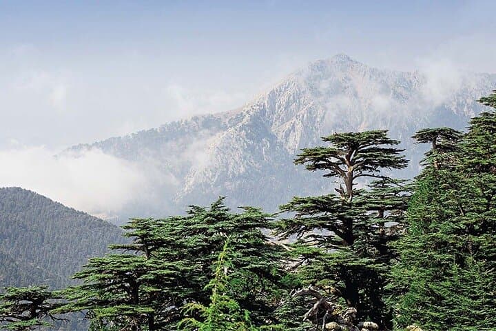 Explore the Cedars of God and Qadisha Valley — Guided Private Tour from Beirut photo 1