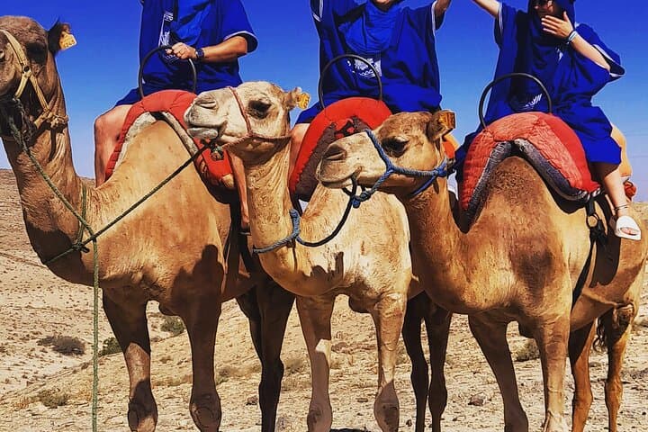Agafay Desert Quad and Camel Ride with Berber Dinner Show — Sunset Quad Biking from Marrakech photo 6