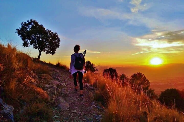 Sunset Hike & Summit Sierra Nevada — Private Dog-Friendly Tour