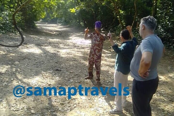 4-Day Nigeria Historical & Cultural Tour: Lagos, Olumo Rock & Osun-Osogbo photo 5