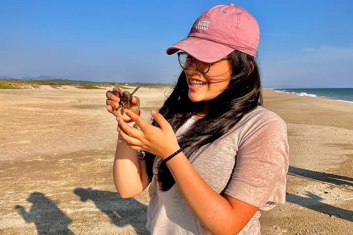 Full-Day Turtle Release and Manialtepec Bioluminescence from Huatulco photo 4