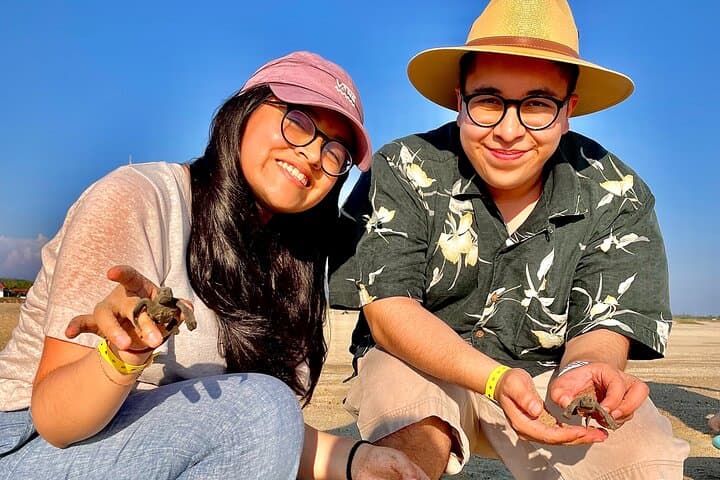Full-Day Turtle Release and Manialtepec Bioluminescence from Huatulco photo 5