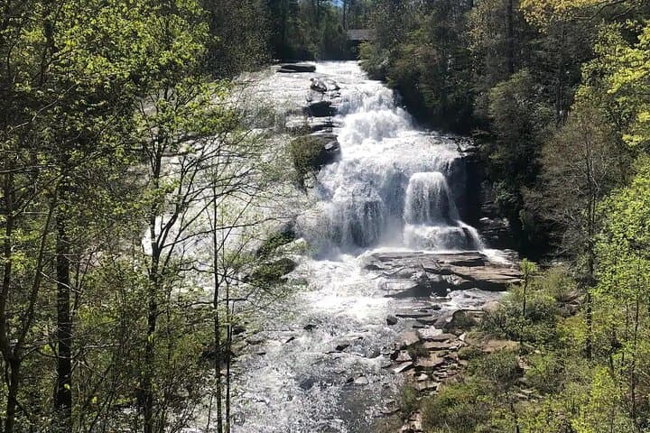 Coffee and Cascades: Three-Waterfall Hike in DuPont State Forest