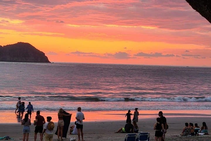 Manuel Antonio Day Trip from San José: Rainforest Trails, Beaches & Wildlife photo 1