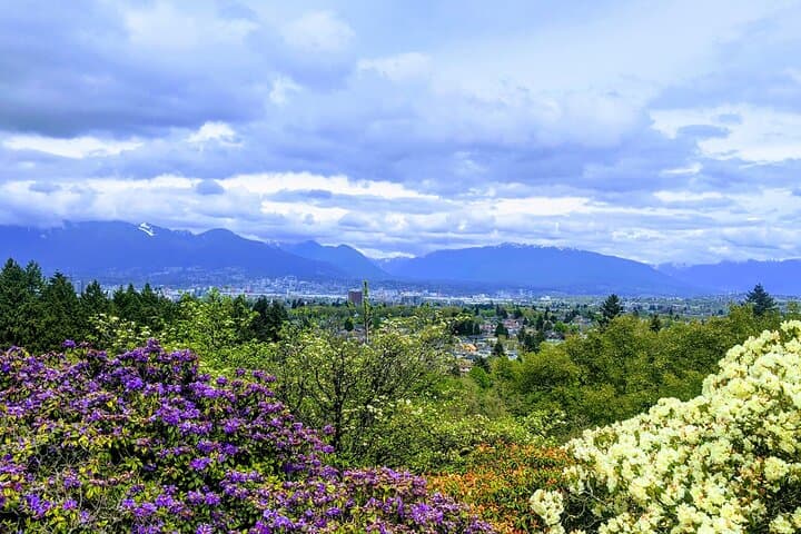 Private Vancouver Highlights Tour — 4-Hour Personalized City Experience photo 3