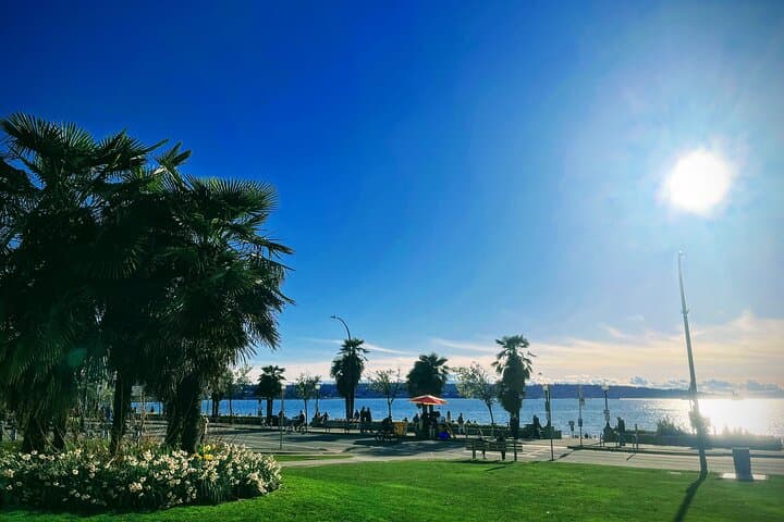 Two-Hour Private Vancouver City Tour: Gastown, Seawall & Granville Island photo 3