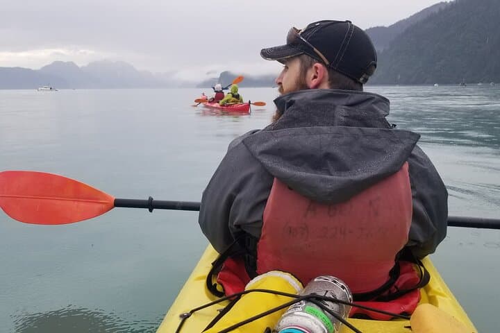 Tonsina Point Kayak — Resurrection Bay Morning Paddle & Wildlife Viewing
